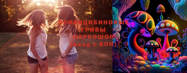 спиды Арсеньев