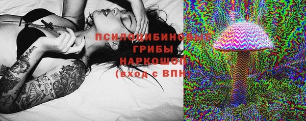 спиды Арсеньев